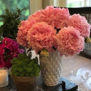 Meet your Posher, Diane